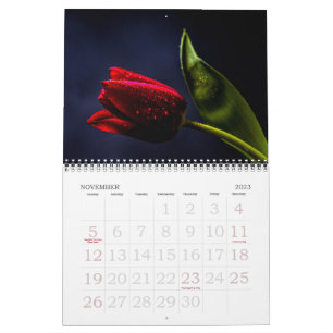Calendario Fotografía de Flores Florales de Tulipán y Rosa El