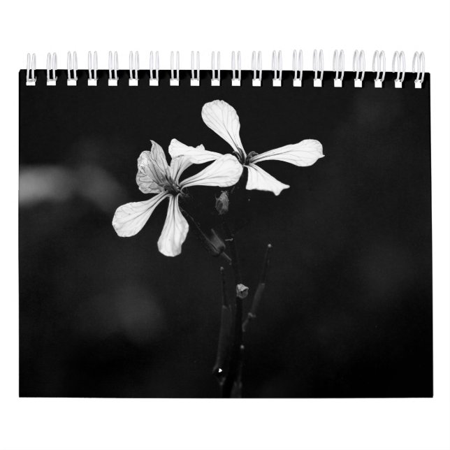 Calendario Fotografía de flores negras y blancas (Tapa)