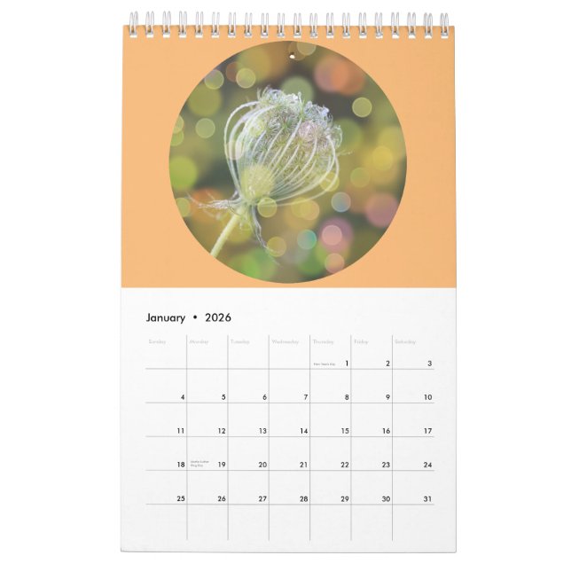 Calendario Fotografía de Flores Silvestres (Jan 2026)