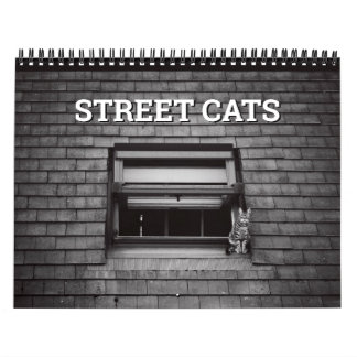 Calendario Fotografía de gatos callejeros