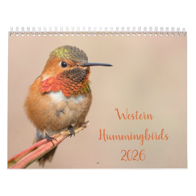 Calendario Fotografía de Hummingbirds 2021 (Tapa)