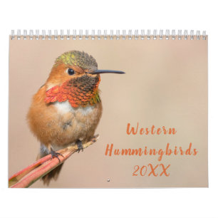 Calendario Fotografía de Hummingbirds Occidental
