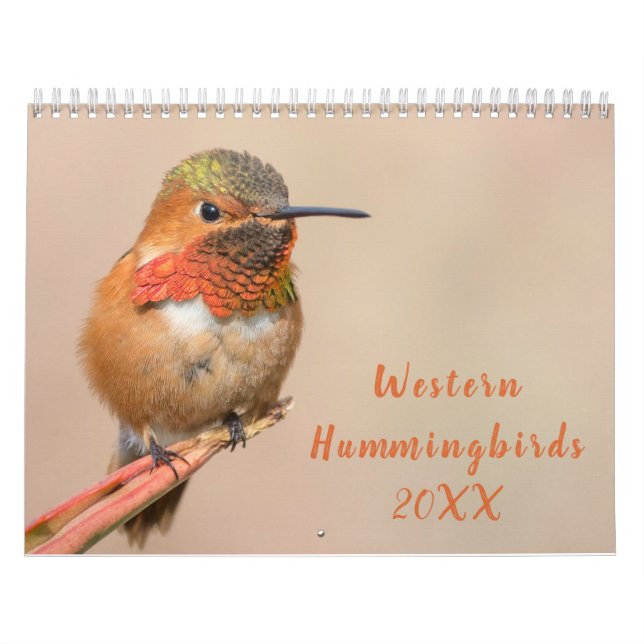 Calendario Fotografía de Hummingbirds Occidental (Tapa)