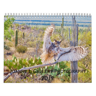 Calendario Fotografía de la Galería Joanne L 2012