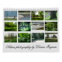 Fotografía de la naturaleza