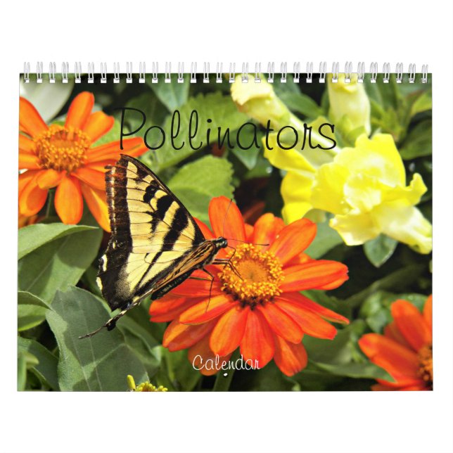 Calendario Fotografía de la naturaleza de los polinizadores (Tapa)