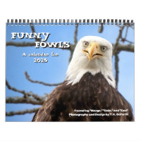 Fotografía de pájaro de Bald Eagle Funny Fowls 202