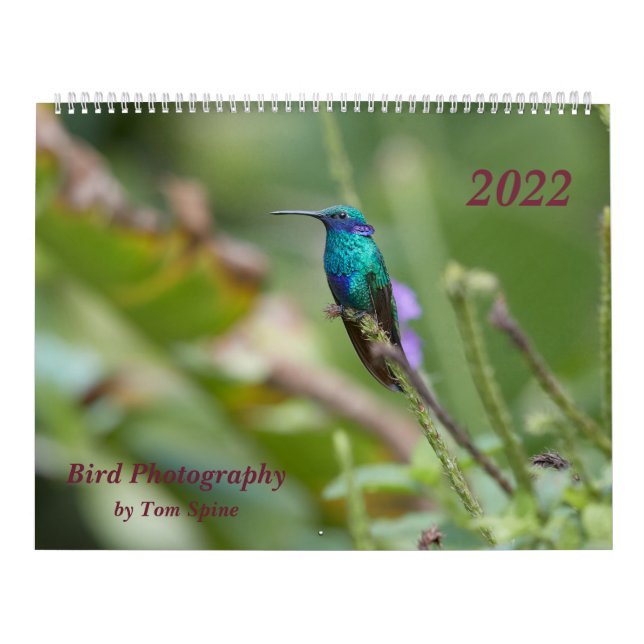 Calendario Fotografía de pájaro de Tom Spine, 2022 (Tapa)