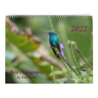 Calendario Fotografía de pájaro de Tom Spine, 2022