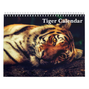 Calendario Fotografía de Tigre Animal Salvaje 2027