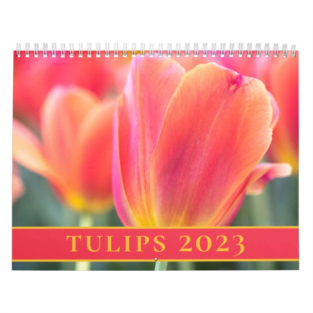 Calendario Fotografía de Tulips 2023 (Tapa)