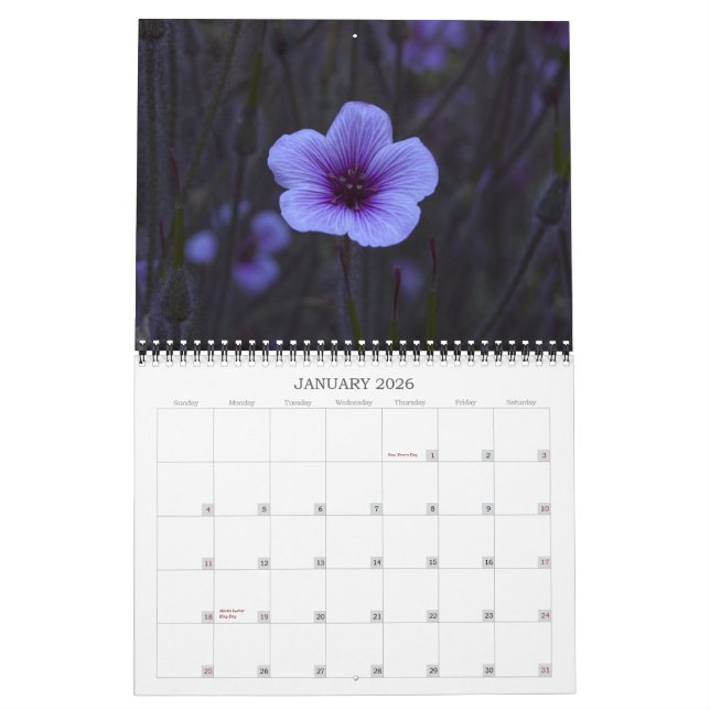 Calendario Fotografía del Bello Artes - 2013