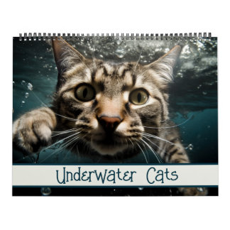 Calendario Fotografía divertida de gatos subacuáticos