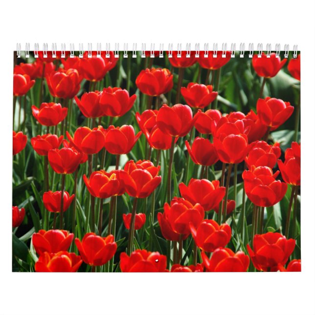 Calendario Fotografía elegante de Tulipanes y Flores Florales (Tapa)