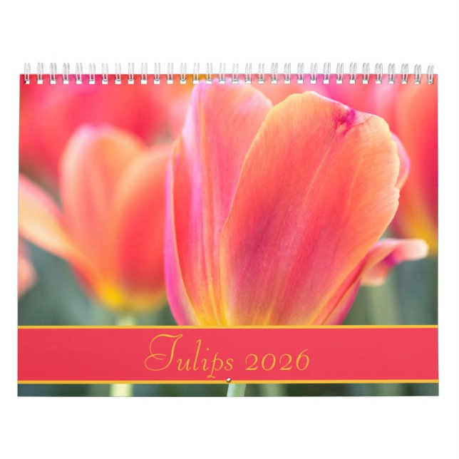 Calendario Fotografía en Tulipanes Coloridos 2021 (Tapa)