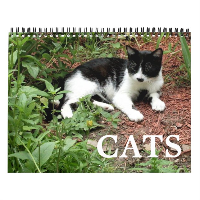 Calendario Fotografías de gatos (Tapa)