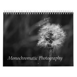 Calendario Fotografías en blanco y negro: Ave paisajista