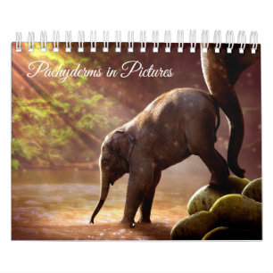 Calendario Fotografías hermosas del elefante