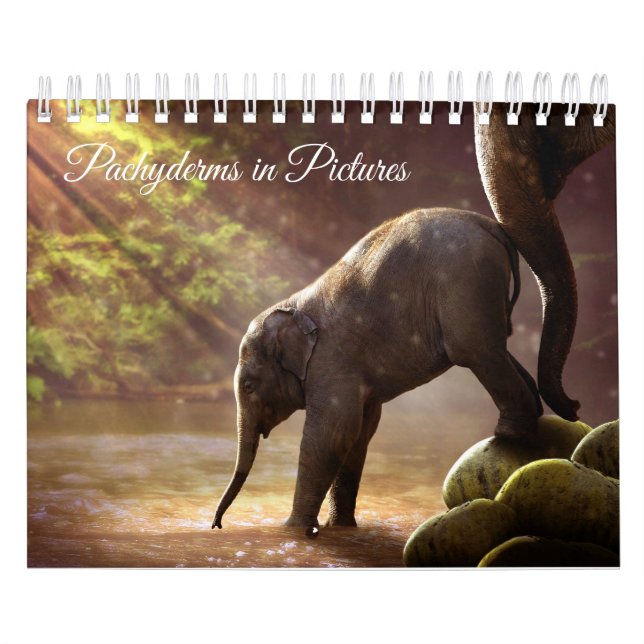 Calendario Fotografías hermosas del elefante (Tapa)