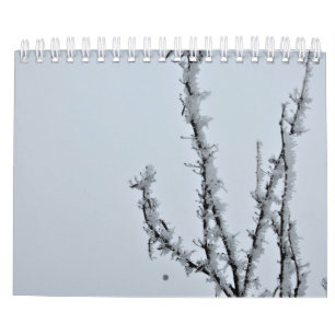 calendario fotográfico