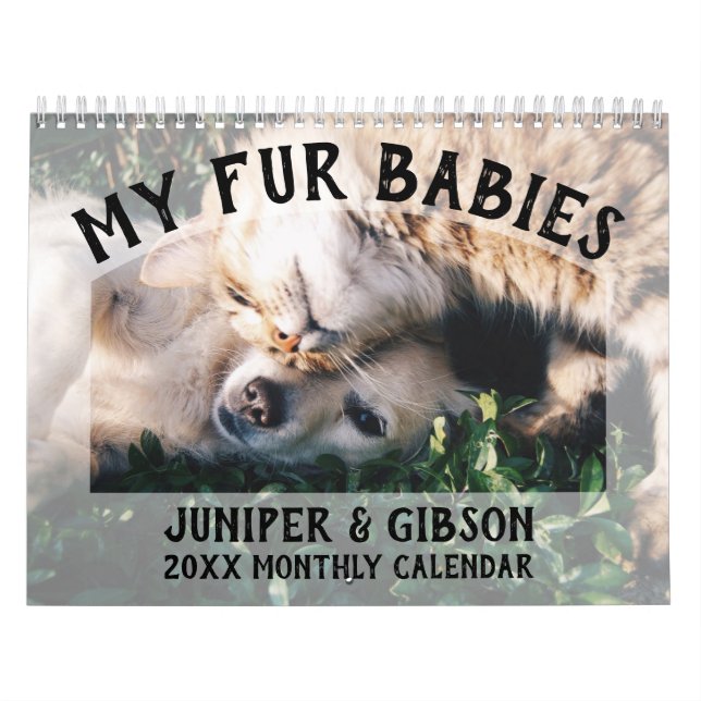 Calendario fotográfico 2024: Cuatro bebés, Mascota (Tapa)