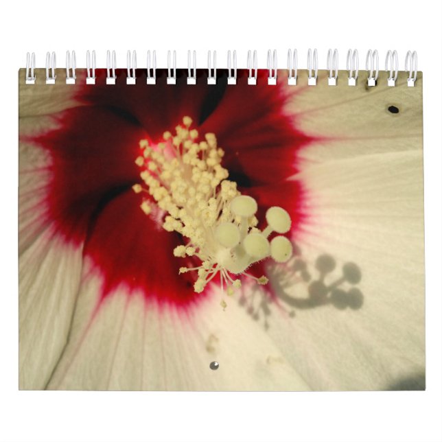 Calendario fotográfico botánico de plantas (Tapa)