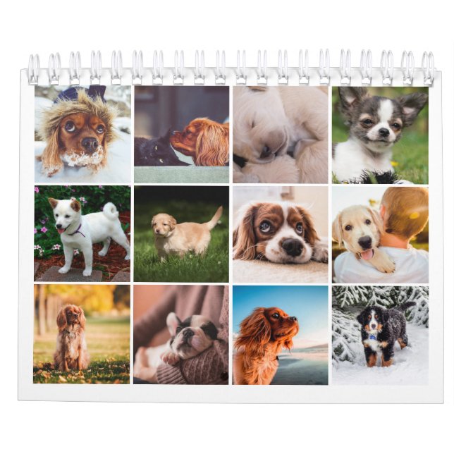 Calendario fotográfico de cachorros pequeño (Reverso)