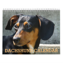 Calendario fotográfico de Dachshund