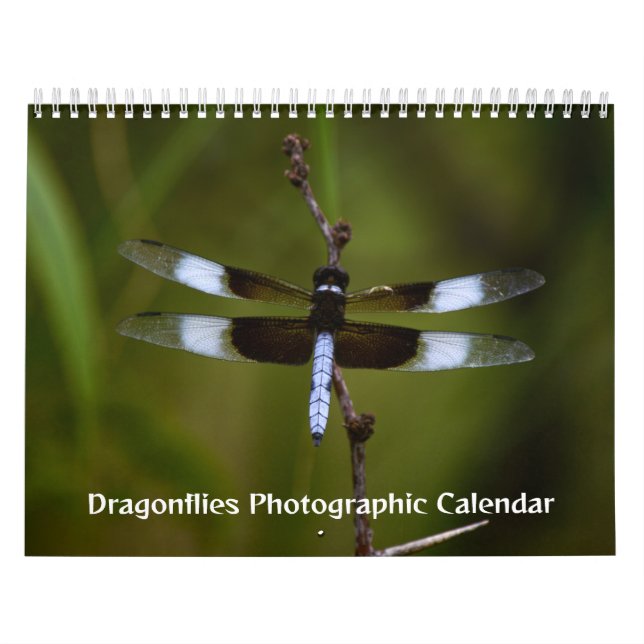 Calendario fotográfico de Dragonflies (Tapa)