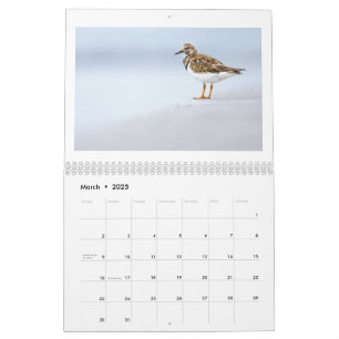 Calendario fotográfico de fauna silvestre de 2025