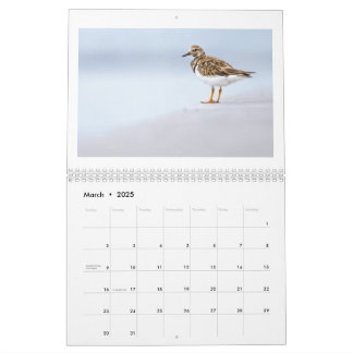 Calendario fotográfico de fauna silvestre de 2025