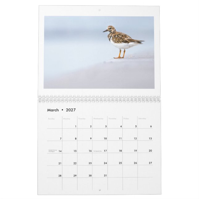 Calendario fotográfico de fauna silvestre de 2025 (Mar 2027)