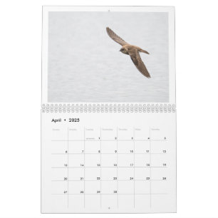 Calendario fotográfico de fauna silvestre de 2025