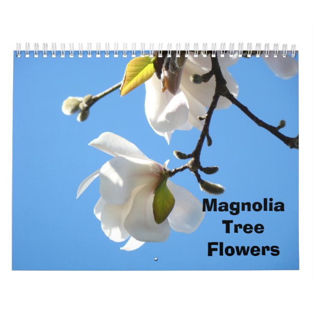 Calendario fotográfico de flores de árbol de magno (Tapa)