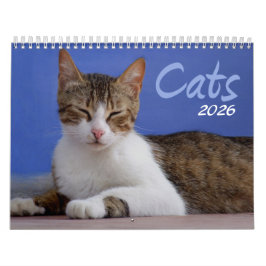 Calendario fotográfico de gatos 2026