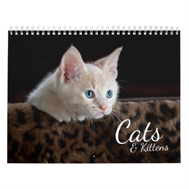 Calendario fotográfico de gatos y gatitos Mascota (Tapa)