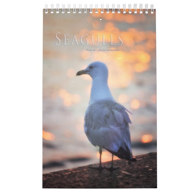 Calendario fotográfico de gaviotas y aves marinas (Tapa)
