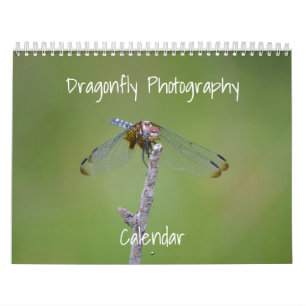 Calendario fotográfico de la libélula
