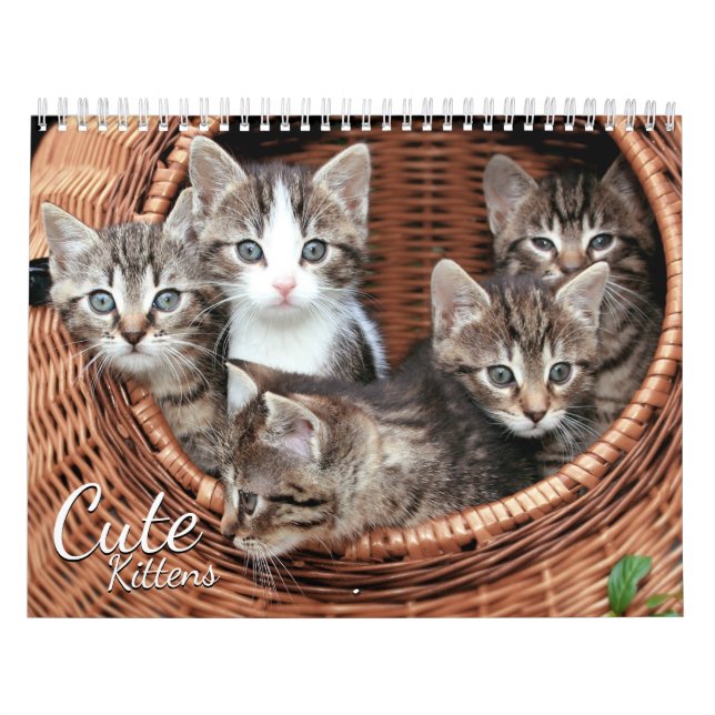 Calendario fotográfico de Mascotas de gatos de gat (Tapa)