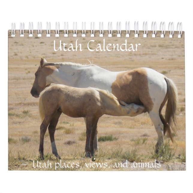 Calendario fotográfico de Utah (Tapa)