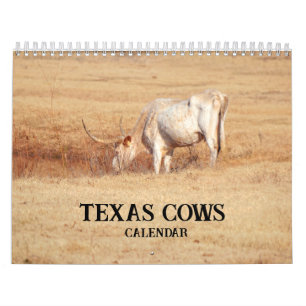 Calendario fotográfico de vacas de Texas