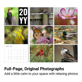 Calendario fotográfico de vida silvestre 2024