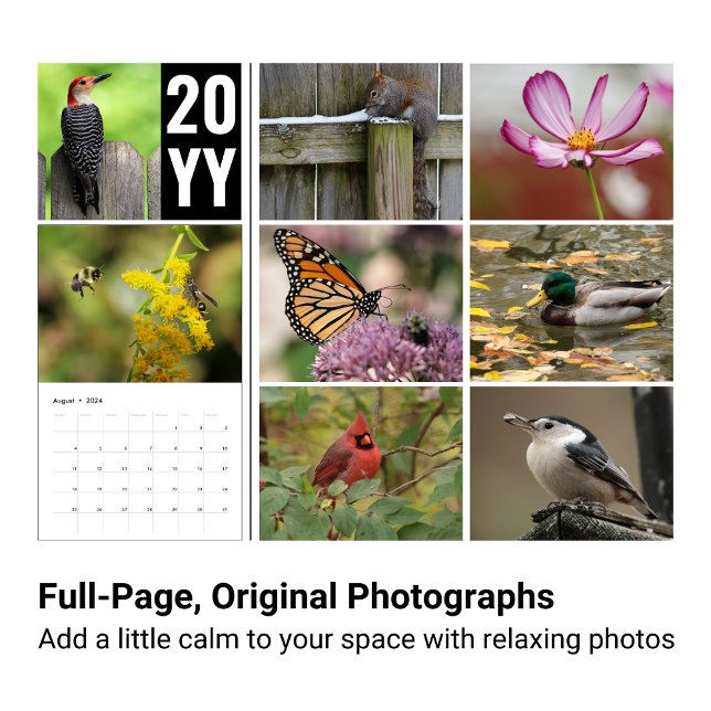Calendario fotográfico de vida silvestre 2024 (Nature photography calendar features simple images to bring beauty to your year.)