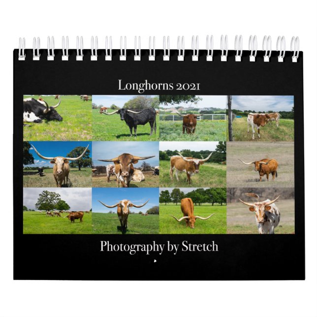 Calendario fotográfico del ganado longhorn (Tapa)