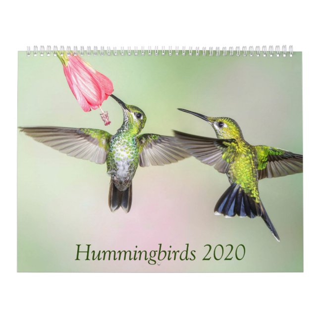 Calendario fotográfico Hummingbirds 2020 (Tapa)
