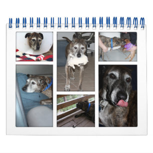 Calendario fotográfico personalizado