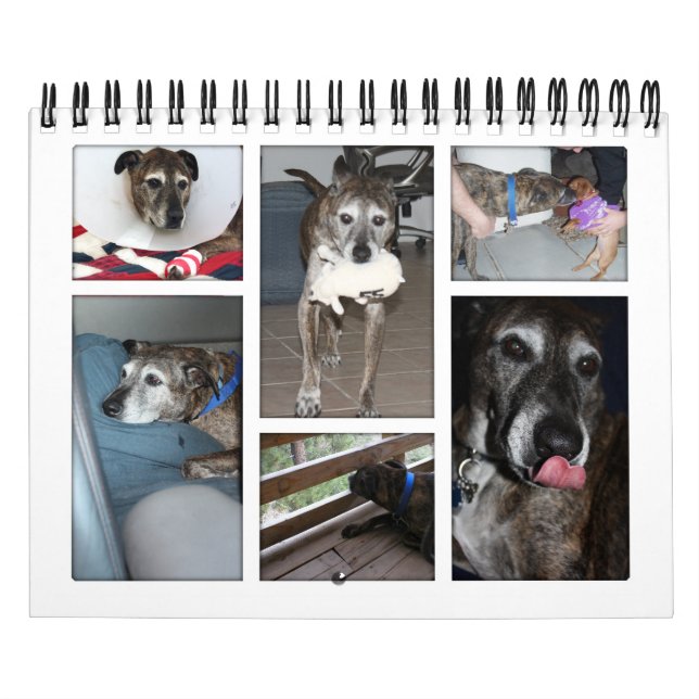 Calendario fotográfico personalizado (Tapa)