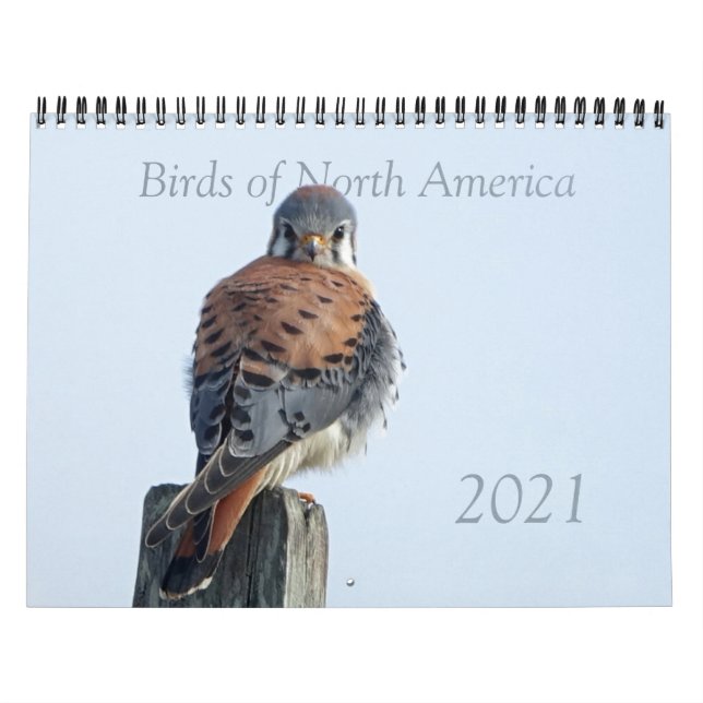 Calendario - Fotos de aves norteamericanas (Tapa)