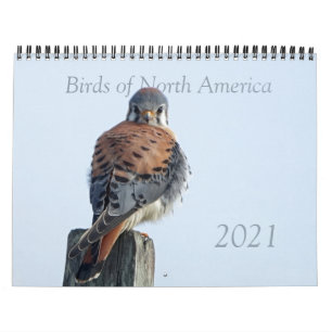 Calendario - Fotos de aves norteamericanas