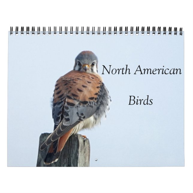 Calendario - Fotos de aves norteamericanas (Tapa)
